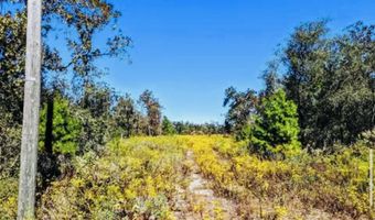 6830 NW Porter Grade Rd, Altha, FL 32421