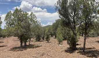 154 153 Gleed Sta, Ash Fork, AZ 86320