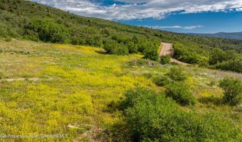 Tbd Co Rd 126, Glenwood Springs, CO 81601