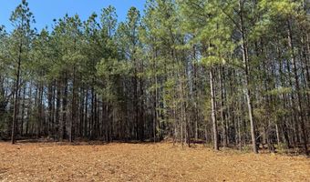MOUNTAIN CUT RD lot B, Appomattox, VA 24522