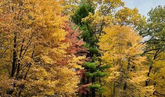 Lot 33 S Badger Lane, Arkdale, WI 54613