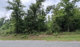 Mona Lane, Alford, FL 32420