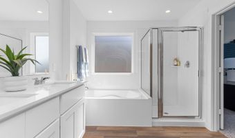 1707 Zander Ct Plan: Gaven, Alvin, TX 77511