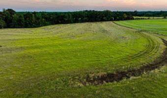 100 Acres Harmony Church Rd, Andalusia, AL 36421