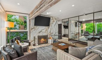 738 S Galena St 1-C, Aspen, CO 81611
