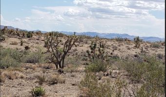 0000 N Kaibab Rd, Dolan Springs, AZ 86441