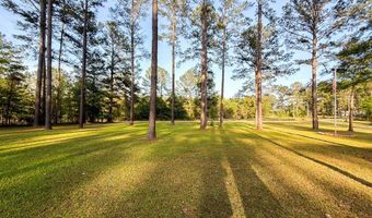 353 Alapaha River Dr, Alapaha, GA 31622