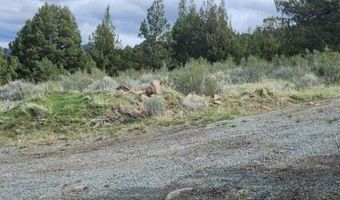 1724 Warner Mountain Rd Po Box, Alturas, CA 96101
