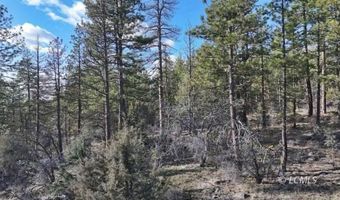 Badger Lane, Bonanza, OR 97623