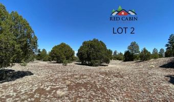 Lot 2 Red Cabin Ranch, Vernon, AZ 85940