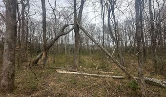 0 Vista Ln, Bethel Springs, TN 38315