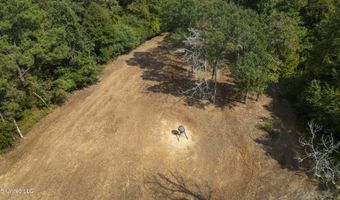 2233 Holloman Rd, Bentonia, MS 39040