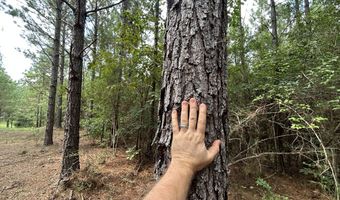 3951 MS-42, Bassfield, MS 39421