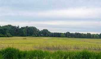 PARCEL G BURT Road, Allenton, MI 48002