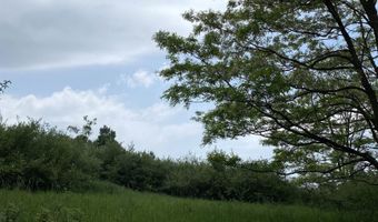 Parcel A Cemetery Road, Alden, MI 49612