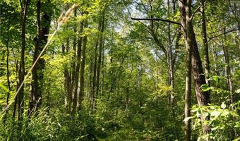 Tbd 359th Ln, Aitkin, MN 55760