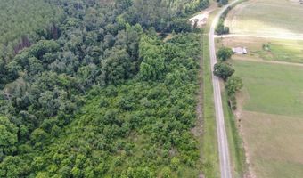 2512 Beulah Church Rd, Alma, GA 31510