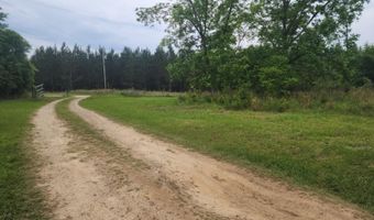 551 Gravel Hill Rd, Allendale, SC 29810