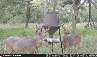 10105 S Baltimore Ave, Ayr, NE 68925
