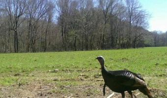 Pleasant Hill Road, Ashland, MS 38603
