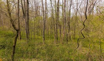 Tbd9999 Wentworth School Road, Beattyville, KY 41311