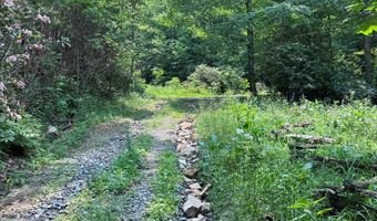 88 Acres Bolden Br, Andrews, NC 28901