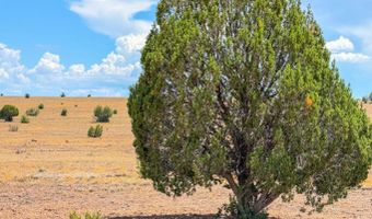 215 Gleed Station Rd Lot A 10 Acre, Ash Fork, AZ 86320