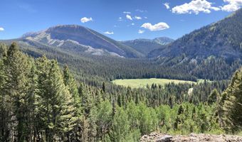 525 THREE RIVERS Dr, Alpine, WY 83128