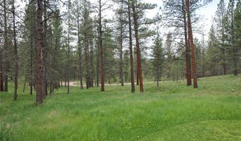 28273 Blixit Creek Rd, Bonner, MT 59823