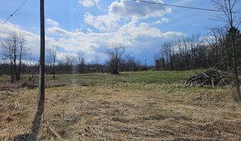 295 Shellstone Rd, Amsterdam, NY 12010