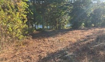 Sunshine Rd lot 1, Andalusia, AL 36421
