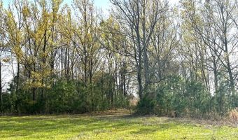 5000 County Road 53, Banks, AL 36005