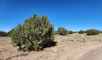85 N 8522, Concho, AZ 85924