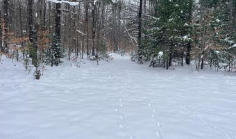 9606 MUNGER Rd, Afton, MI 49705