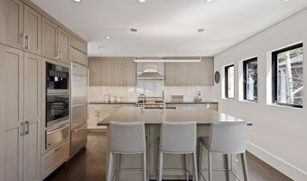 121 W Hyman Ave B, Aspen, CO 81611