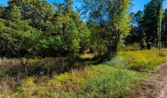 Castle Drive, Batesville, AR 72501