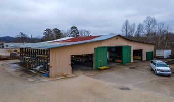 1134 KY-11, Beattyville, KY 41311