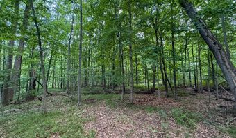 39 Acres N Pingree Rd, Alma, MI 48801