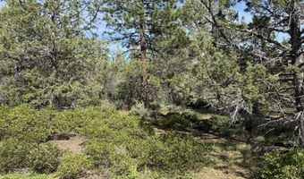 Porpoise Lane lot 29, Bonanza, OR 97623