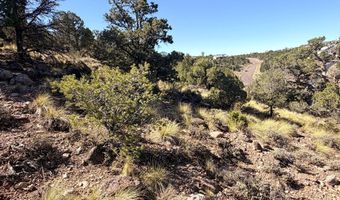 1037 S Canyon Dr, Cedar City, UT 84720