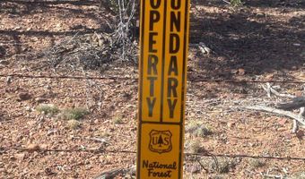1751 Forest Service Rd 163, Clay Springs, AZ 85923