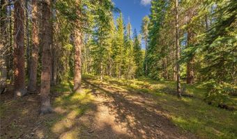 187 SHERWOOD Ln Lot 77, Blue River, CO 80424