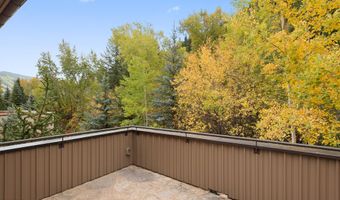 509 W Hopkins Ave, Aspen, CO 81611