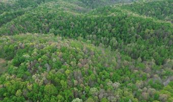 1271 A Tunnel Ridge Rd, Argillite, KY 41121