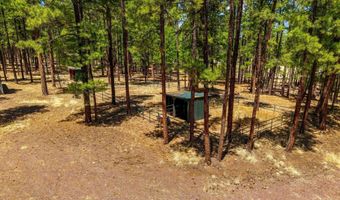 61 Co Rd 2266, Alpine, AZ 85920