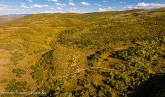 1350 Old Herron Rd, Basalt, CO 81621