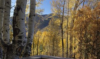 1036 Red Mountain Rd, Aspen, CO 81611