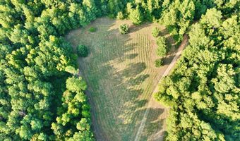 0 Hwy 14, Aliceville, AL 35442