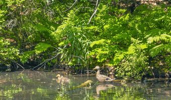 4 Rustic Shores Rd, Alton, NH 03809