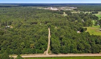 64450 J. Catha Dr, Amite, LA 70422